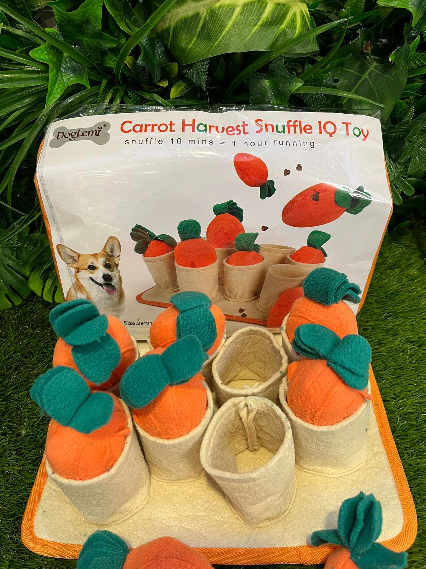 Carrot Harvest Snuffle Puzzle Toy