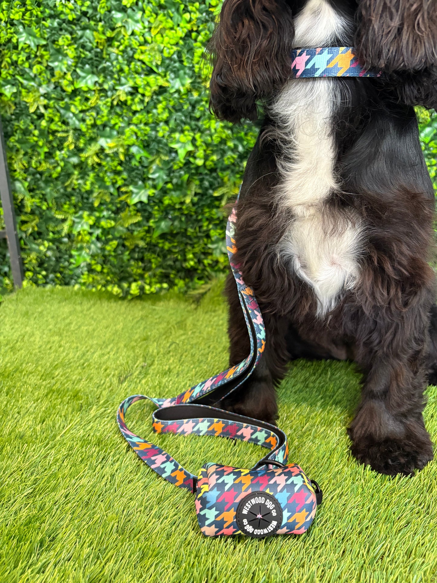 Westwood Dog Co Lead - Original Houndstooth Print