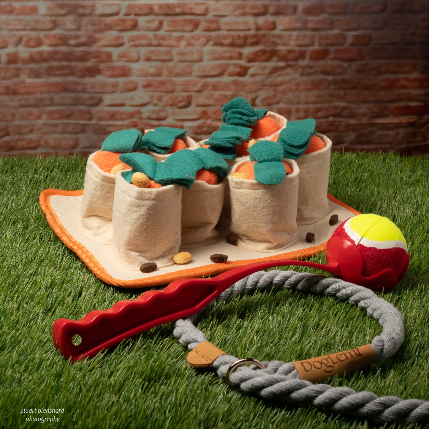 Carrot Harvest Snuffle Puzzle Toy