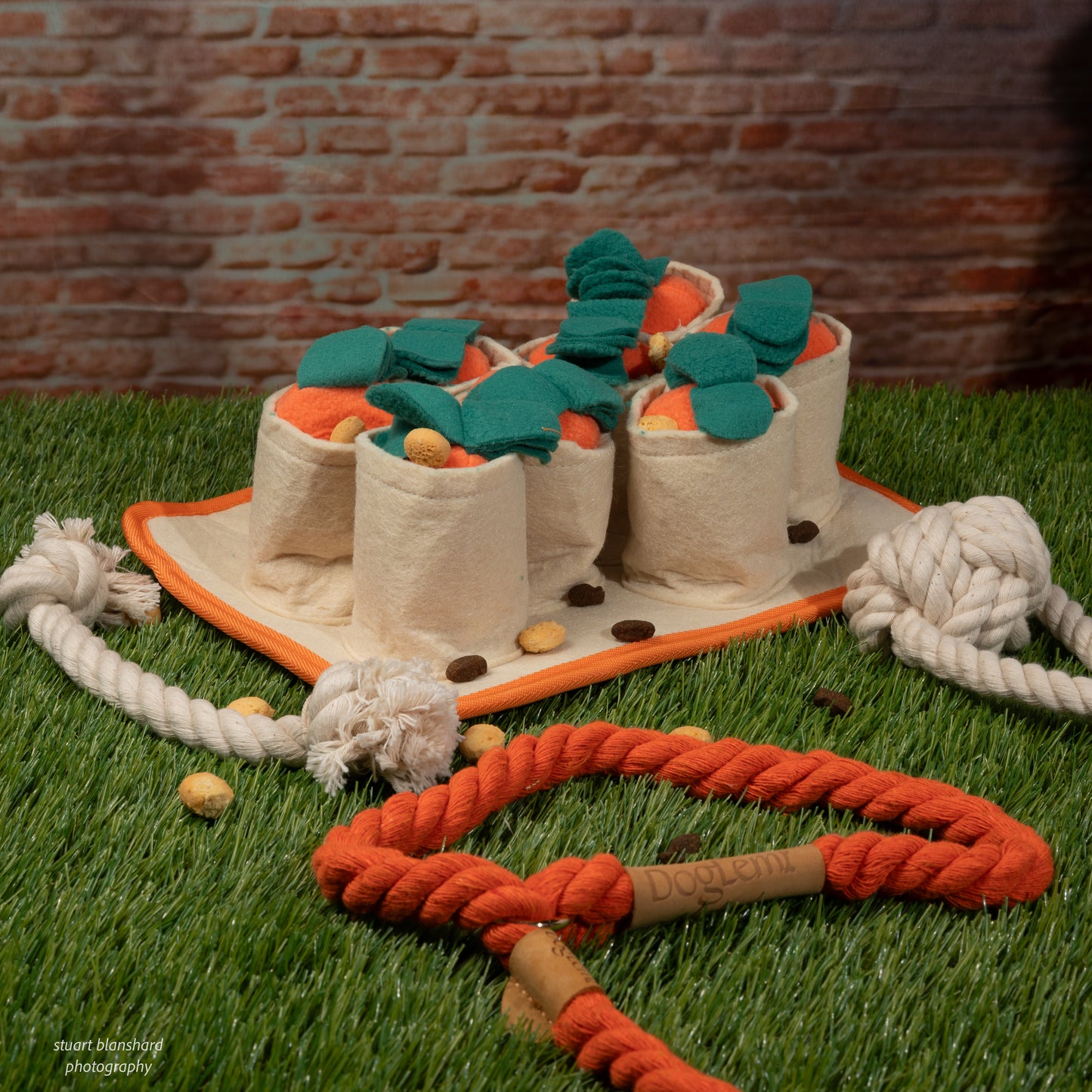 Carrot Harvest Snuffle Puzzle Toy