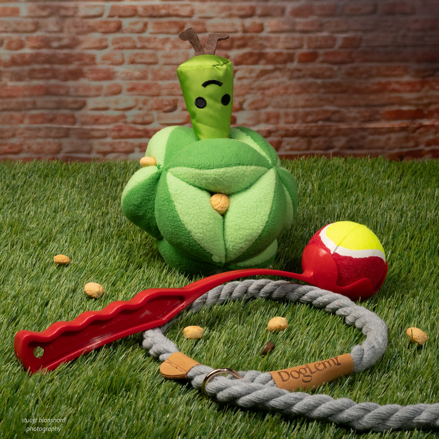 Mr Broccoli Snuffle Toy