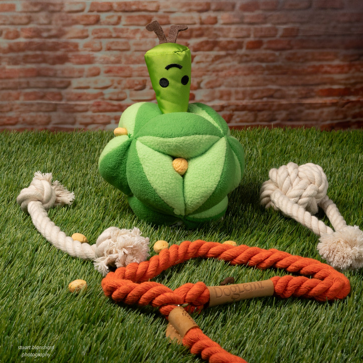 Mr Broccoli Snuffle Toy