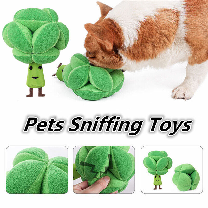Mr Broccoli Snuffle Toy