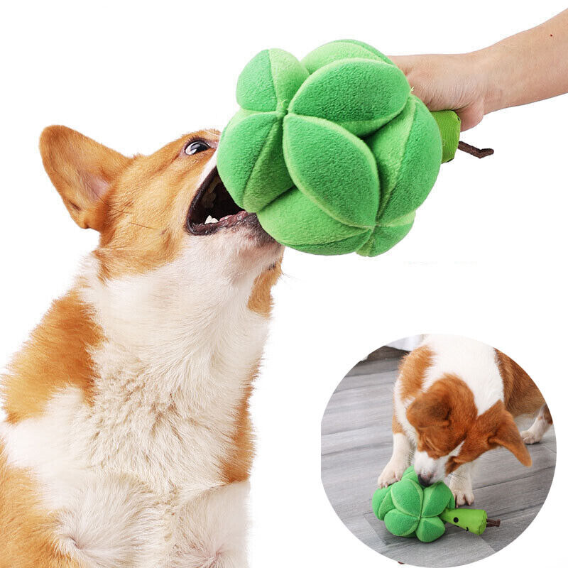Mr Broccoli Snuffle Toy