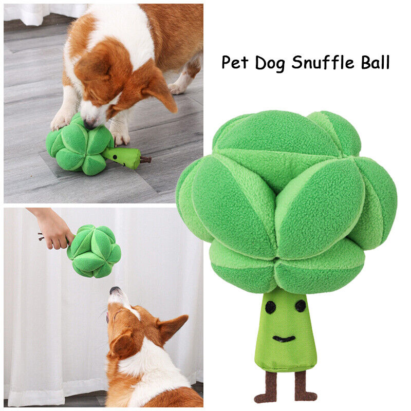 Mr Broccoli Snuffle Toy