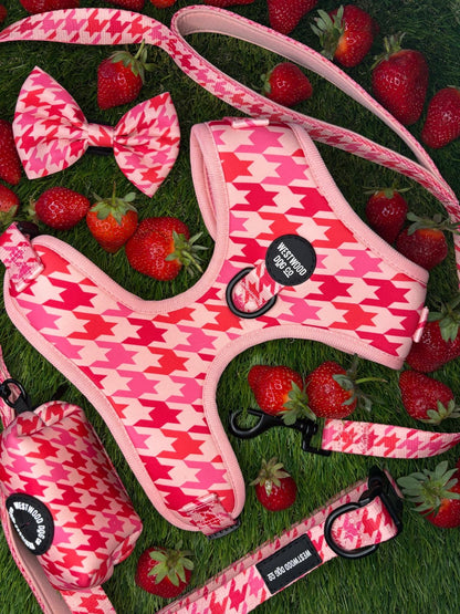 Westwood Dog Co - Strawberry Houndstooth Lead