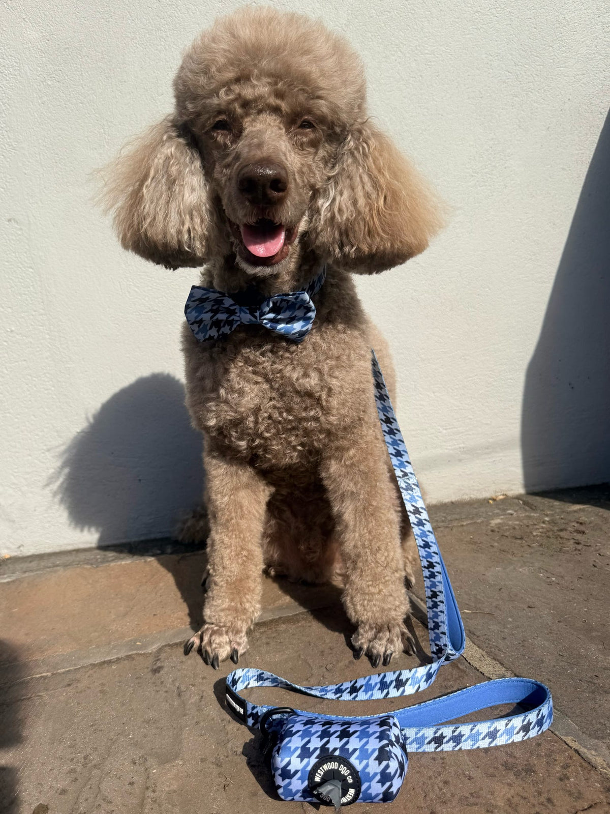 Westwood Dog Co - Blueberry Houndstooth Bow Tie