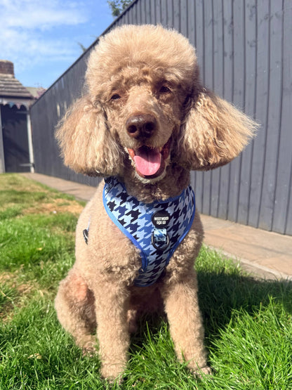 Westwood Dog Co - Blueberry Houndstooth Harness