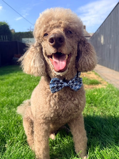 Westwood Dog Co - Blueberry Houndstooth Bow Tie