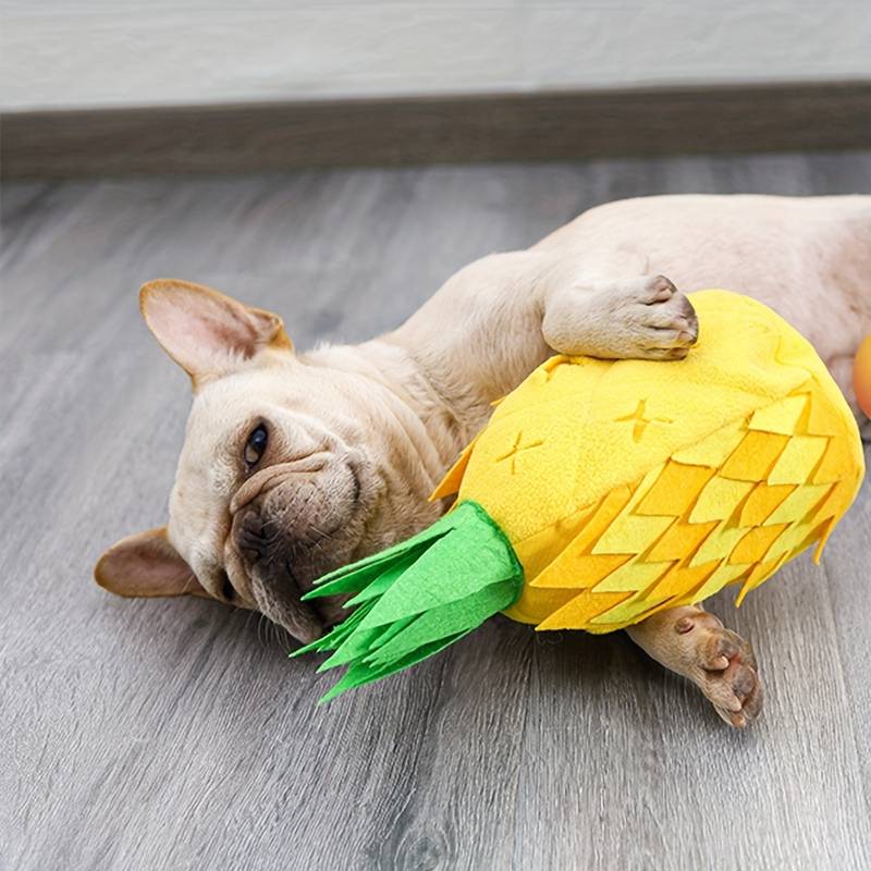 Pineapple Snuffle Toy