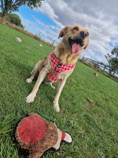 Westwood Dog Co - Strawberry Houndstooth Harness
