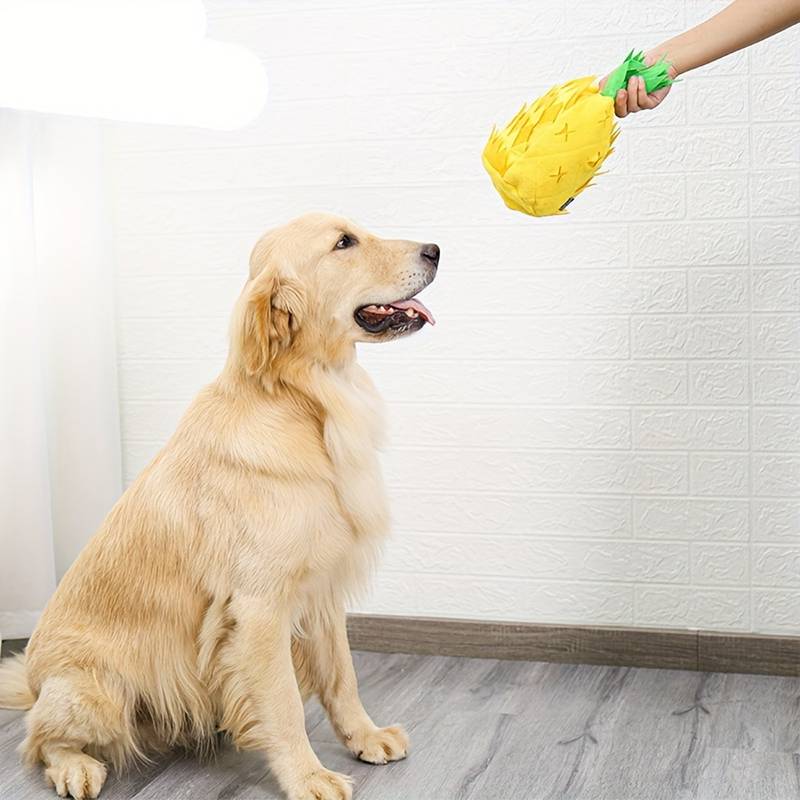 Pineapple Snuffle Toy