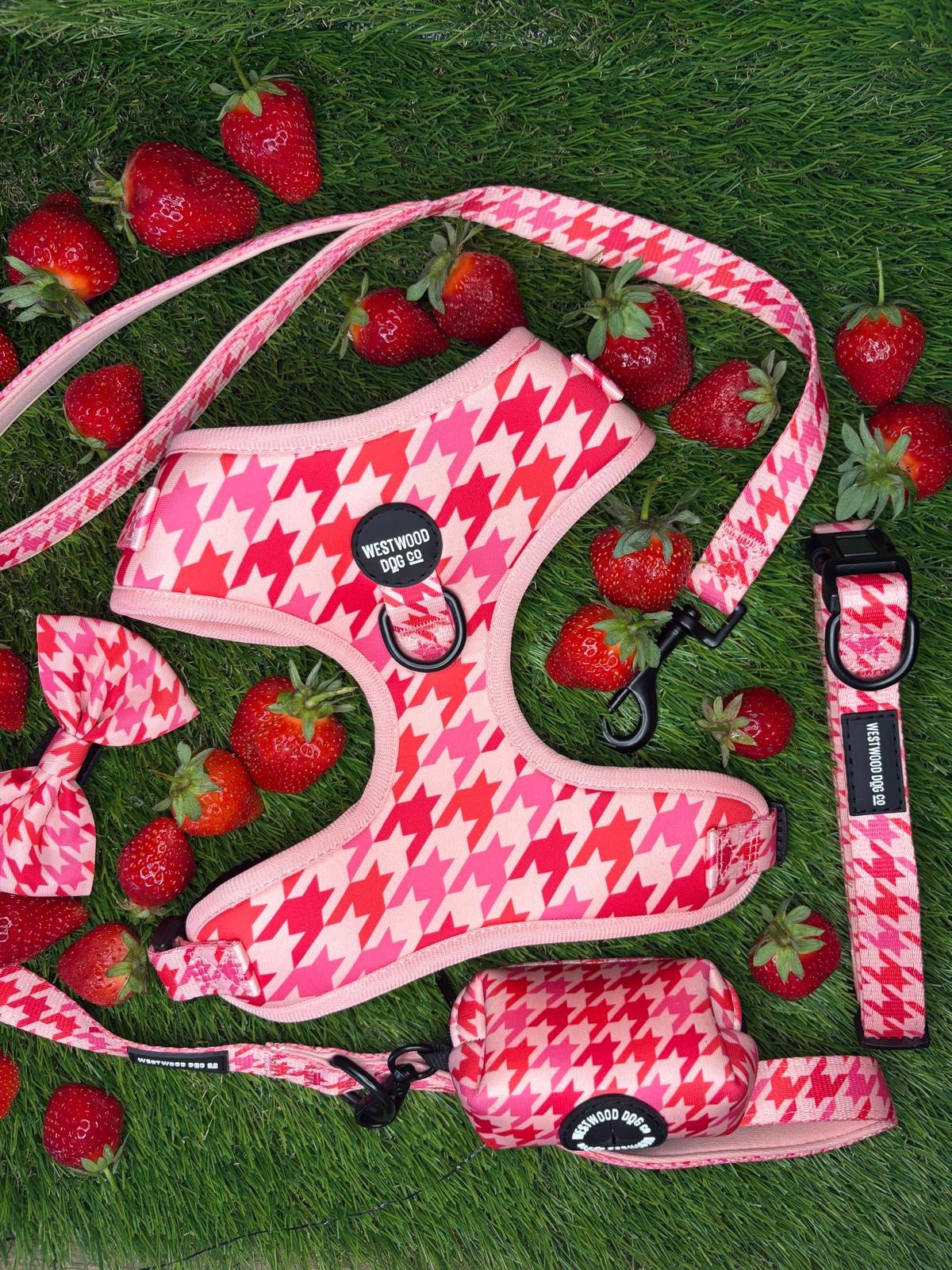 Westwood Dog Co - Strawberry Houndstooth Harness