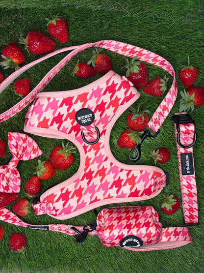 Westwood Dog Co - Strawberry Houndstooth Harness