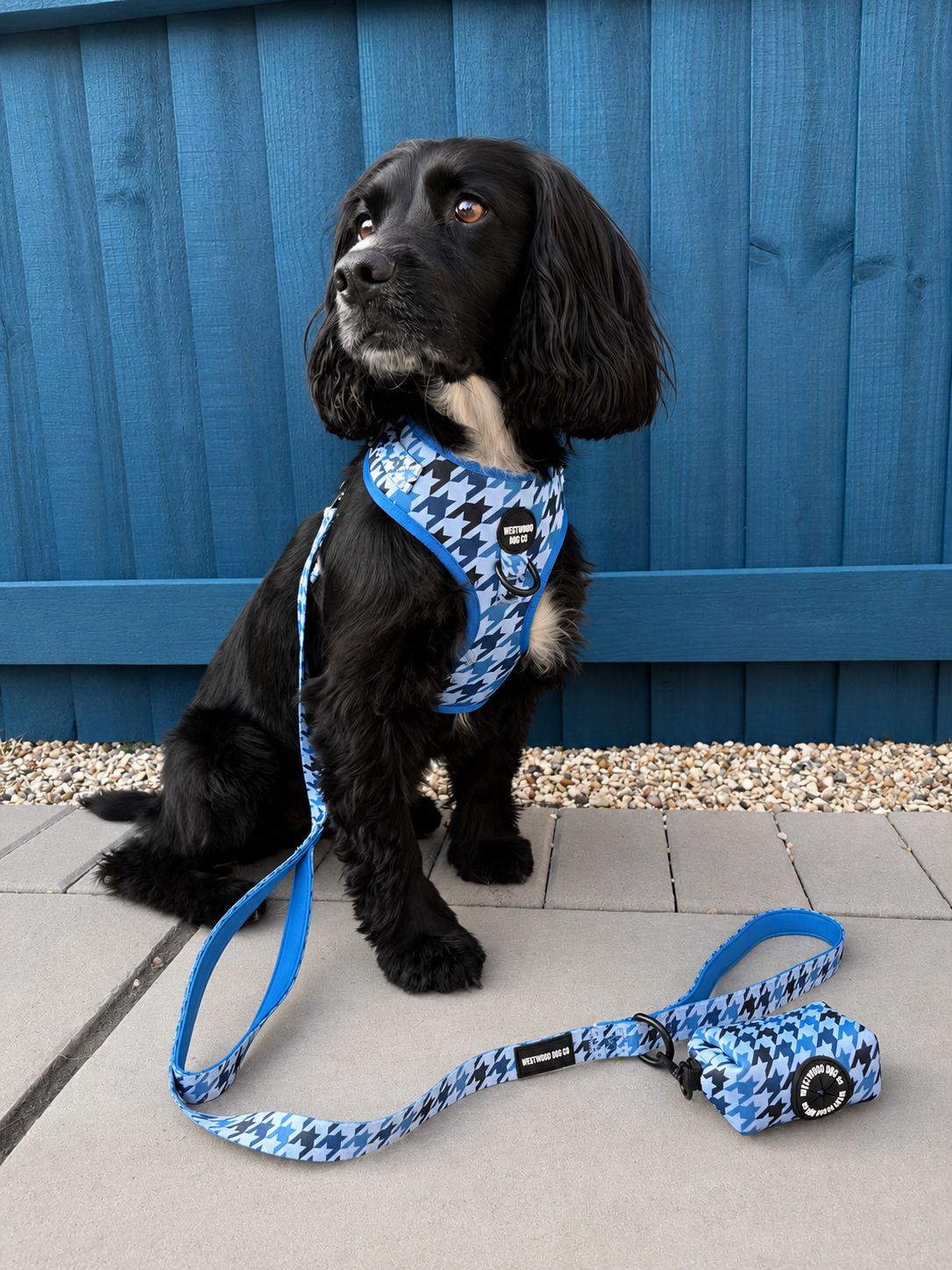 Westwood Dog Co - Blueberry Houndstooth Lead