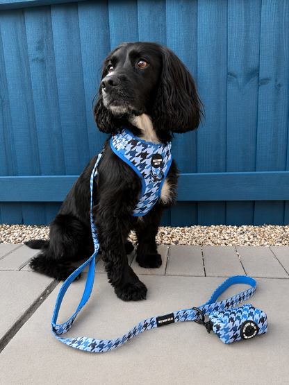Westwood Dog Co - Blueberry Houndstooth Lead