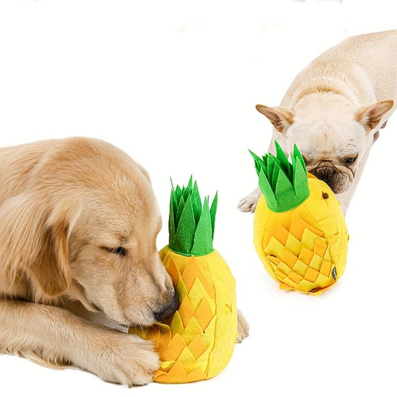 Pineapple Snuffle Toy