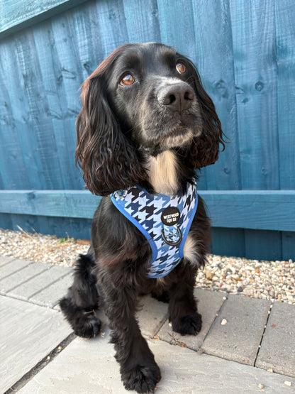 Westwood Dog Co - Blueberry Houndstooth Harness