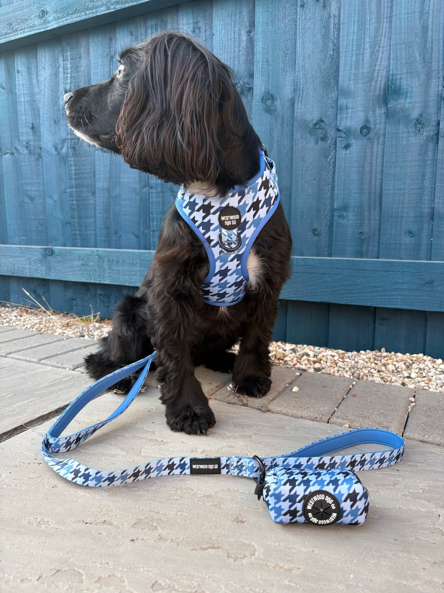 Westwood Dog Co - Blueberry Houndstooth Lead