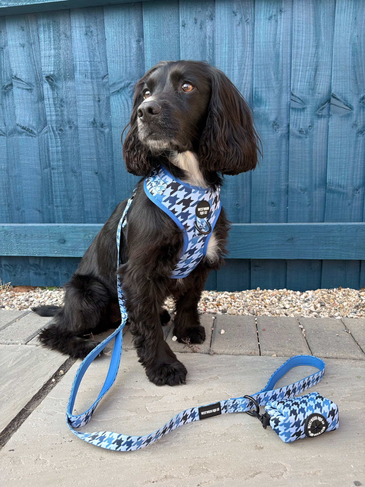 Westwood Dog Co - Blueberry Houndstooth Harness