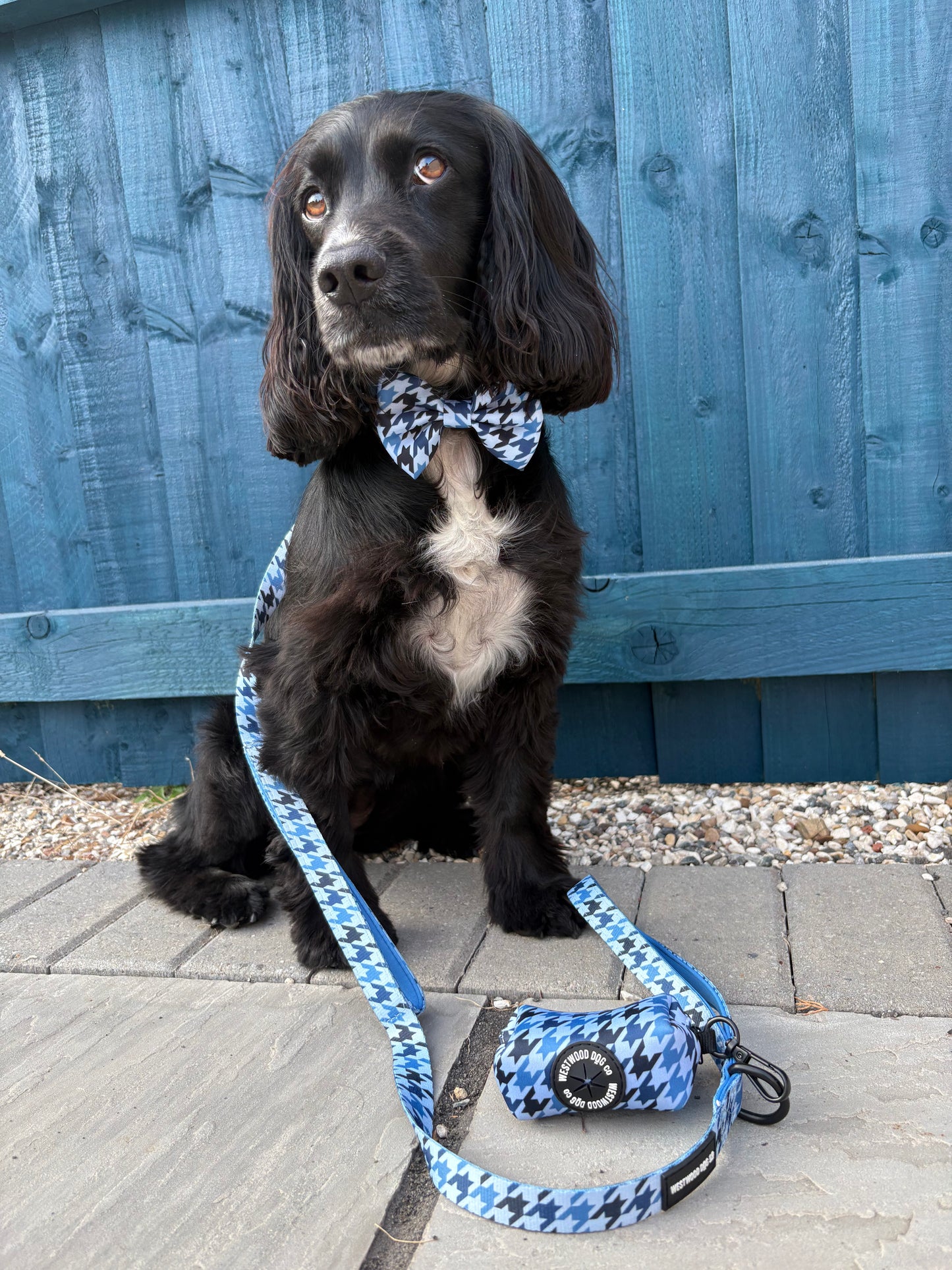 Westwood Dog Co - Blueberry Houndstooth Poo Bag Holder
