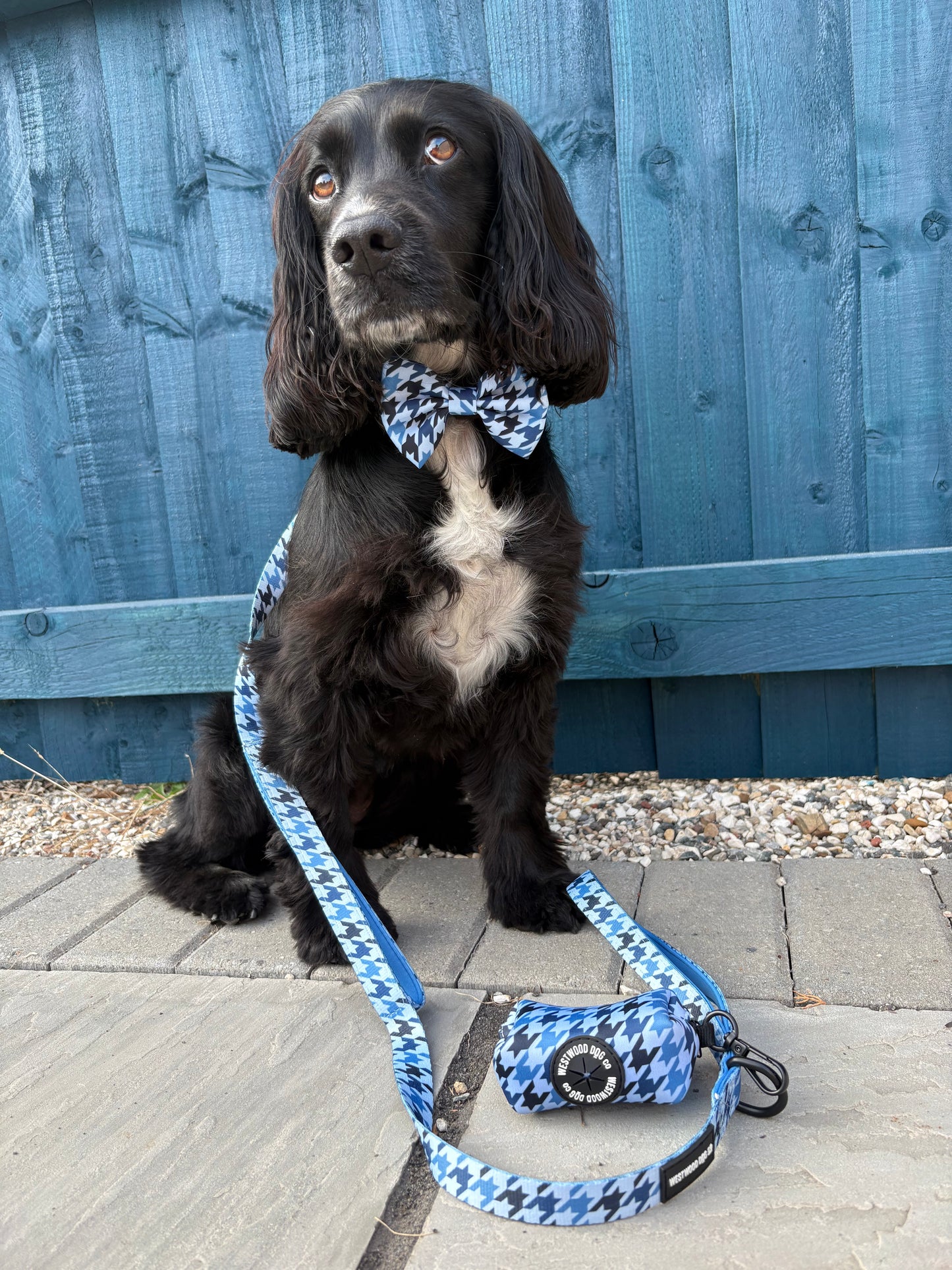 Westwood Dog Co - Blueberry Houndstooth Bow Tie