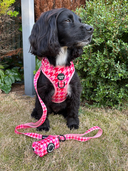 Westwood Dog Co - Strawberry Houndstooth Harness