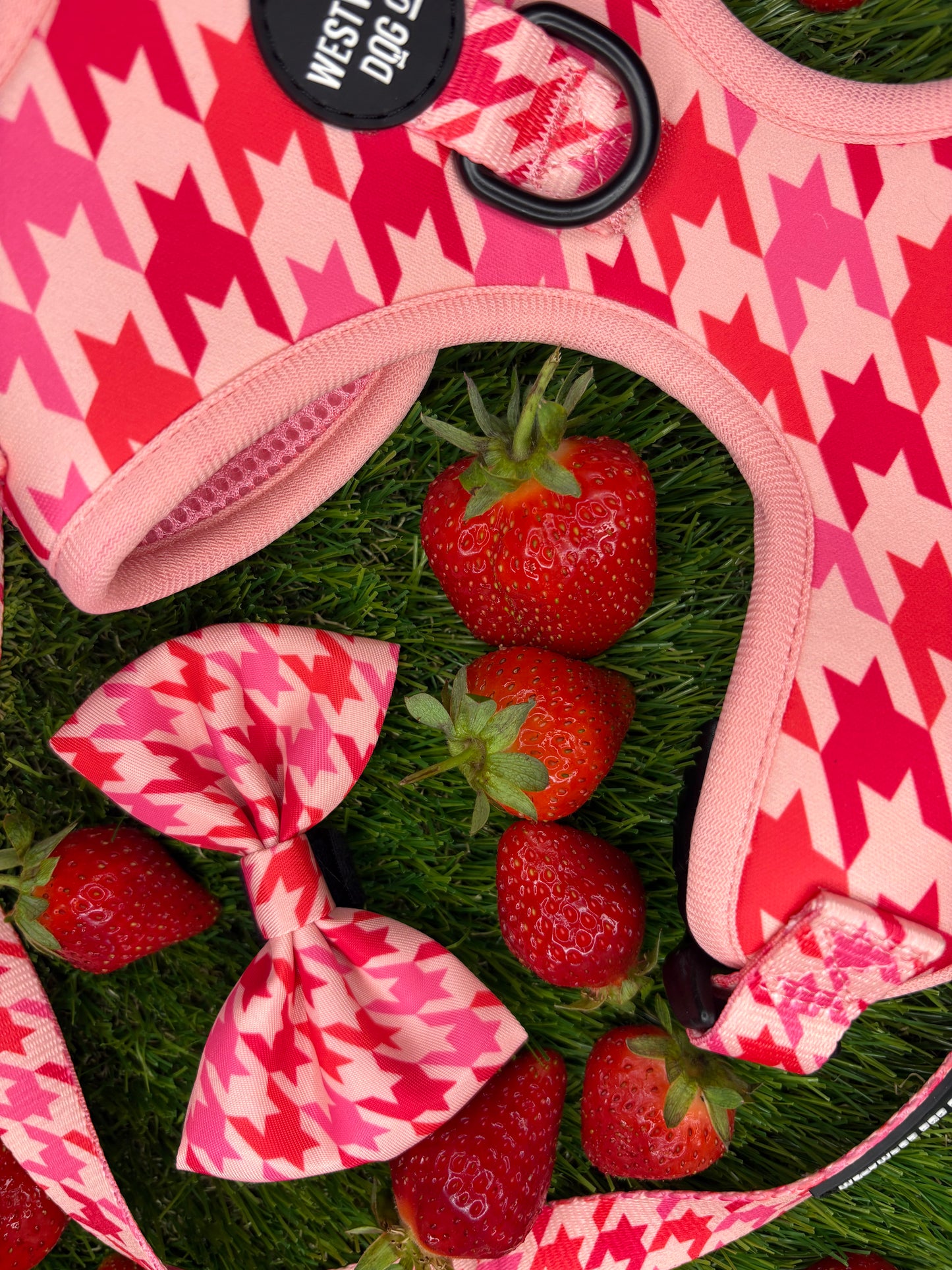 Westwood Dog Co - Strawberry Houndstooth Bow Tie