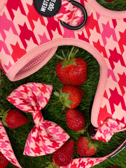 Westwood Dog Co - Strawberry Houndstooth Bow Tie