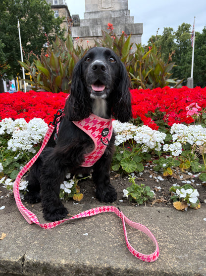 Westwood Dog Co - Strawberry Houndstooth Harness