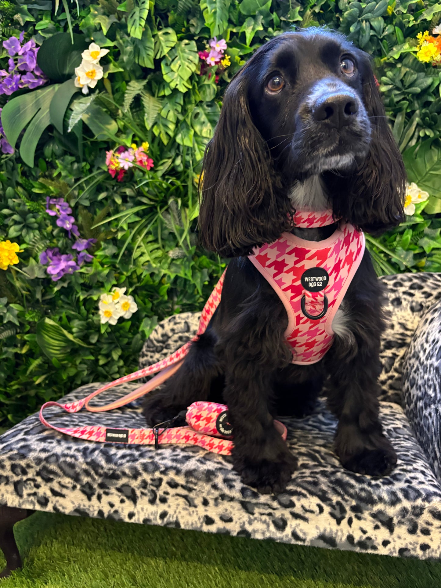 Westwood Dog Co - Strawberry Houndstooth Harness