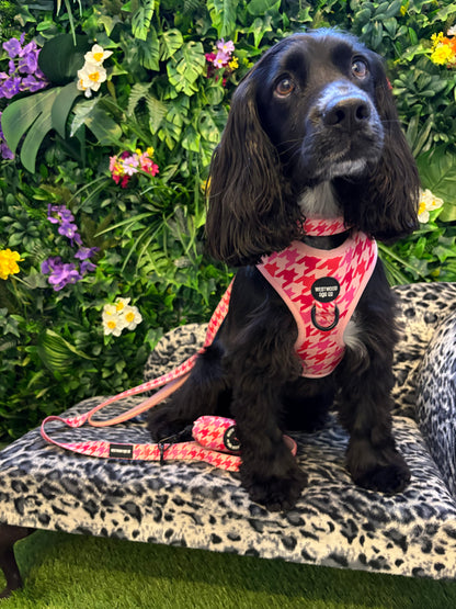 Westwood Dog Co - Strawberry Houndstooth Harness