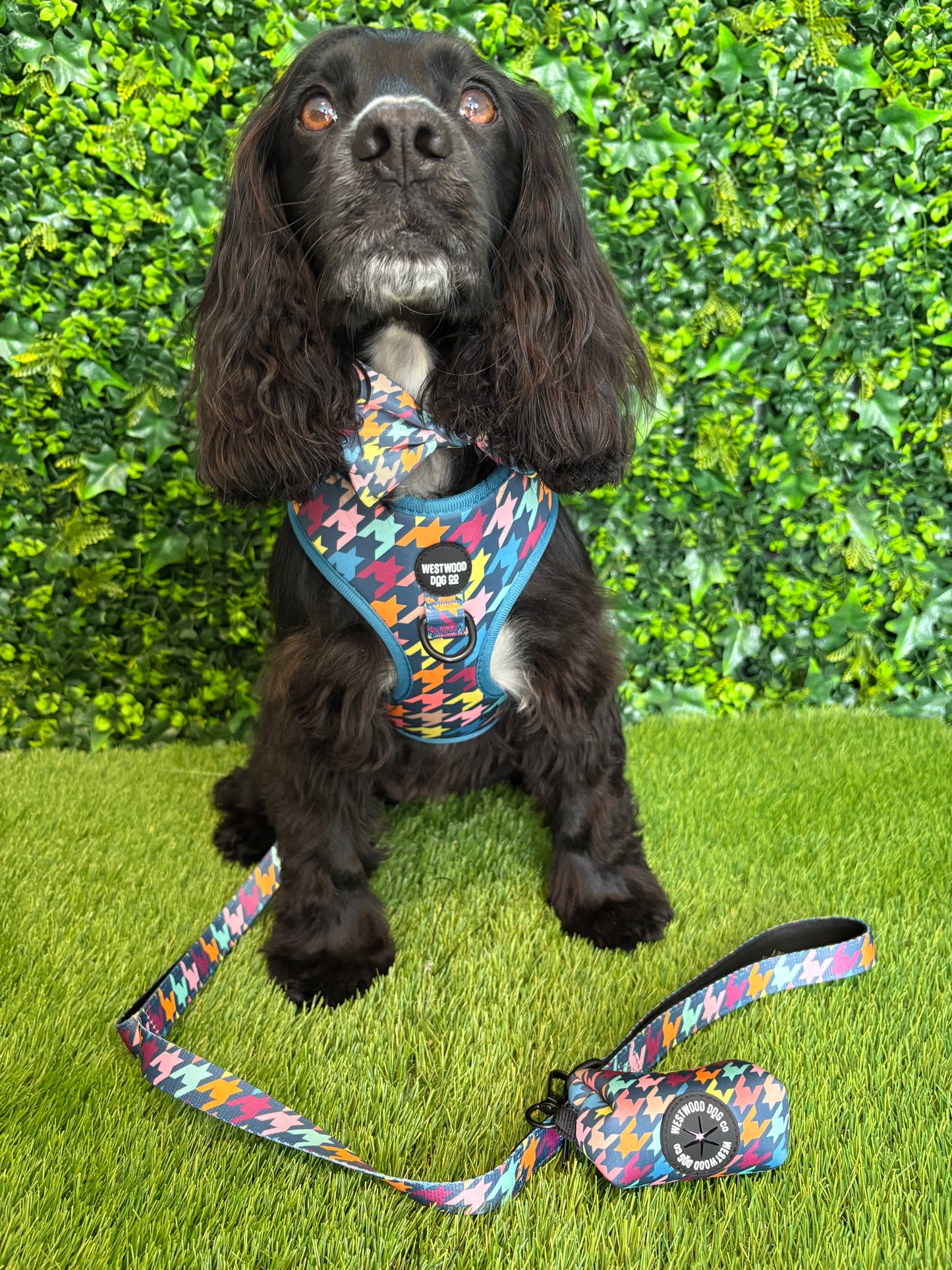 Westwood Dog Co Lead - Original Houndstooth Print