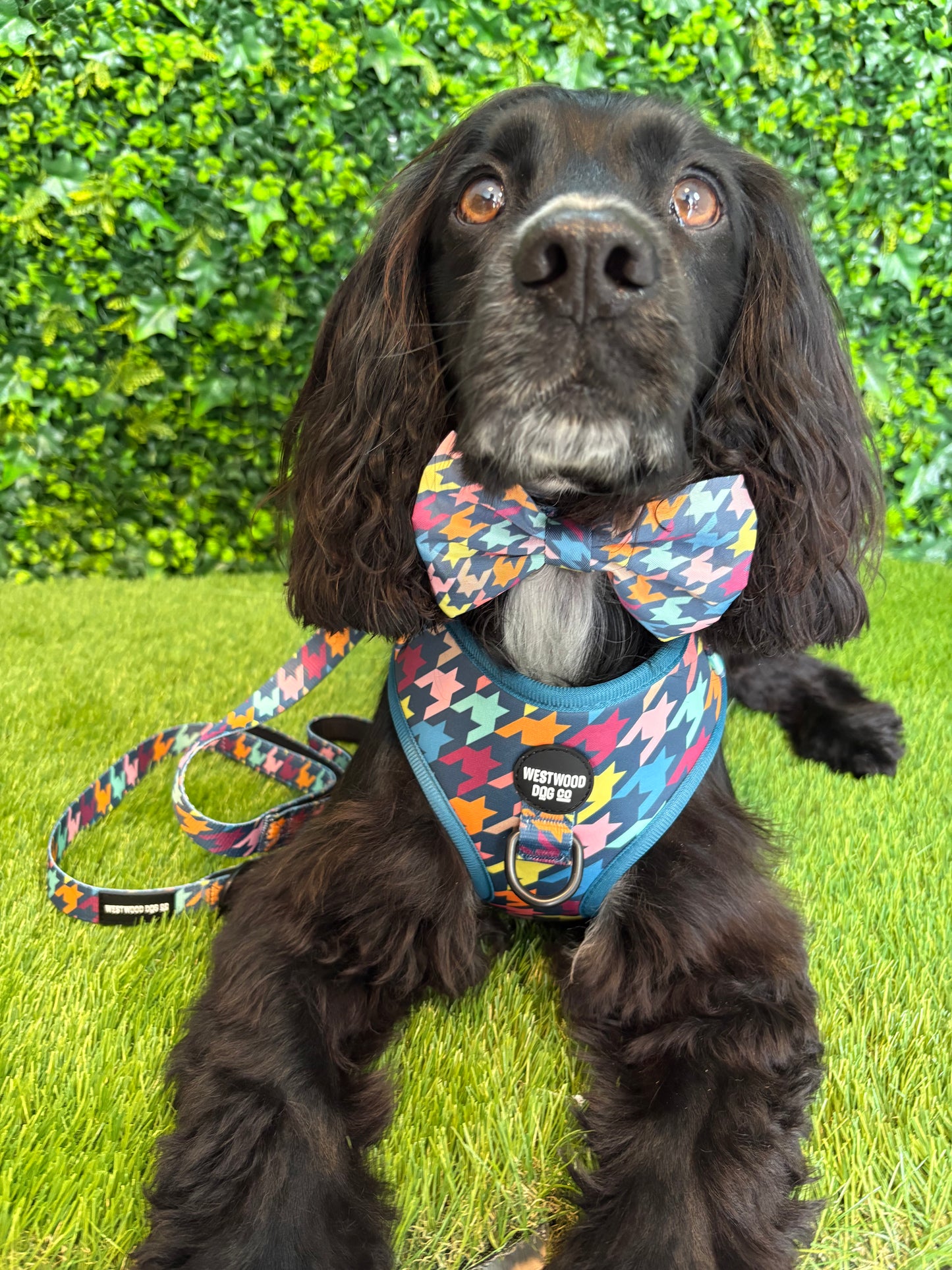 Westwood Dog Co Bow Tie - Original Houndstooth Print