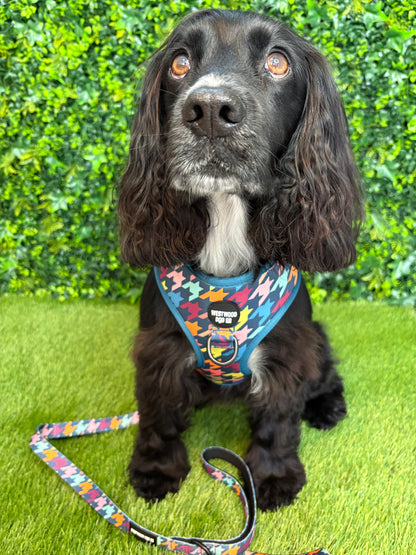 Westwood Dog Co - Original Houndstooth Print Harness