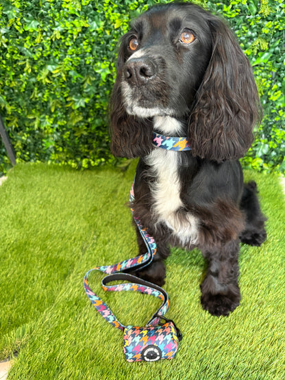 Westwood Dog Co Collar - Original Houndstooth Print
