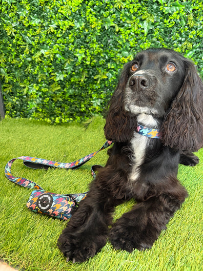 Westwood Dog Co Collar - Original Houndstooth Print