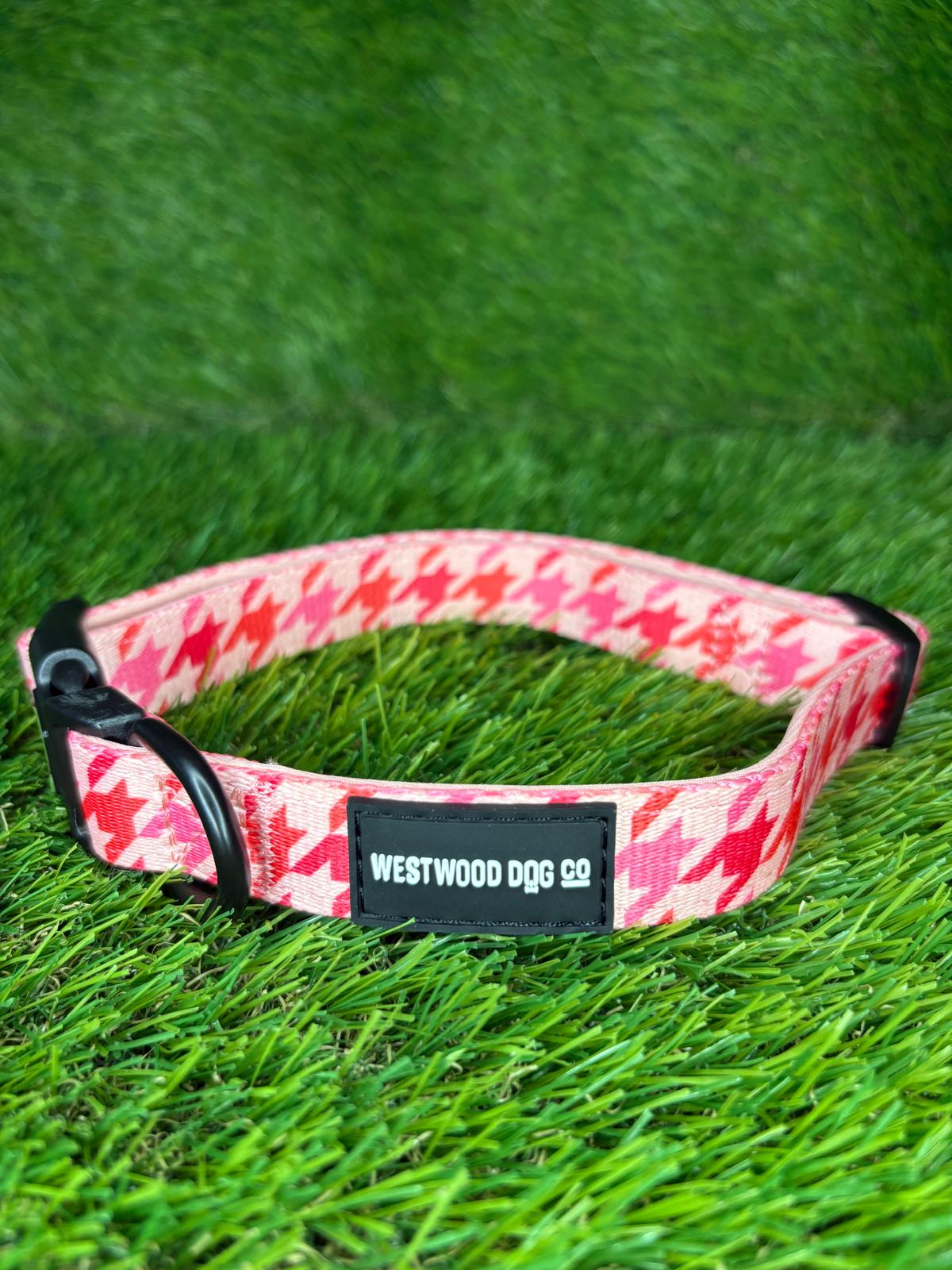 Westwood Dog Co - Strawberry Houndstooth Collar