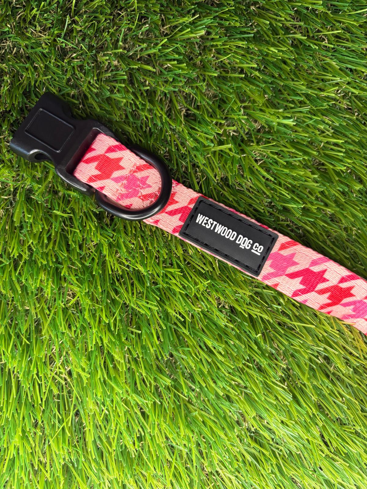 Westwood Dog Co - Strawberry Houndstooth Collar