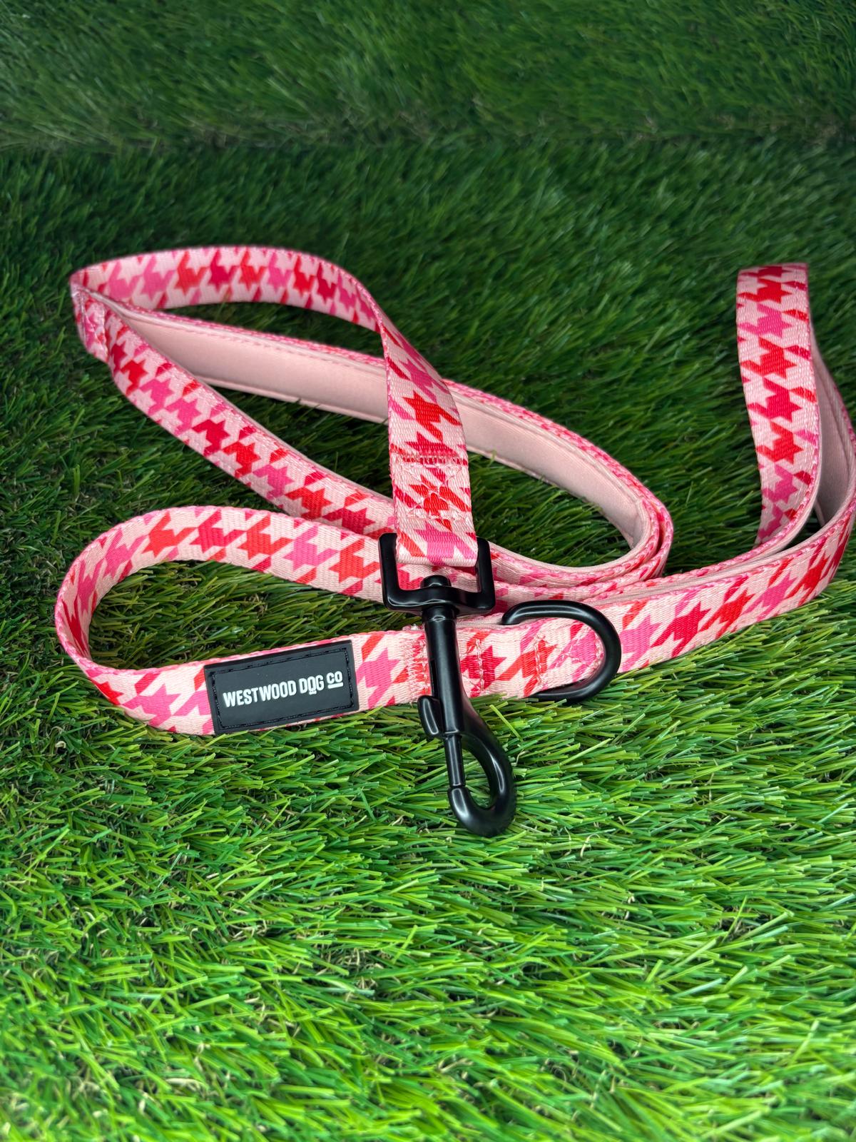 Westwood Dog Co - Strawberry Houndstooth Lead