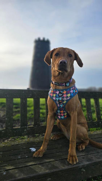 Westwood Dog Co - Original Houndstooth Print Harness