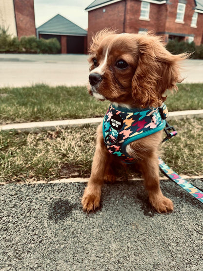 Westwood Dog Co - Original Houndstooth Print Harness