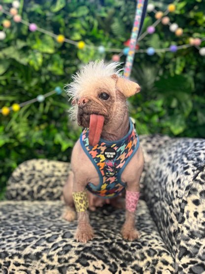Westwood Dog Co - Original Houndstooth Print Harness