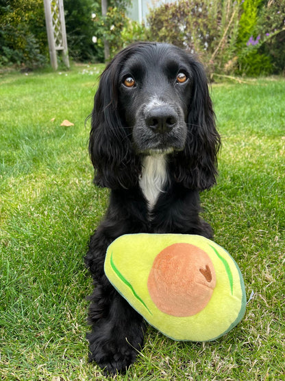 Avocado Plush with Hidden Spikey Ball