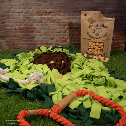 Avocado Snuffle Mat